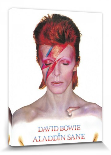 David Bowie - Aladdin Sane - Stretched Canvas Prints - Buy Posters ...