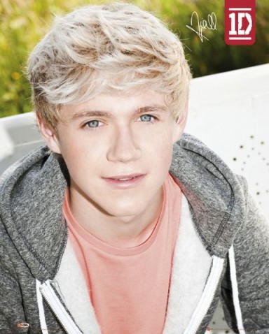 One Direction What Makes You Beautiful Niall Horan Mini